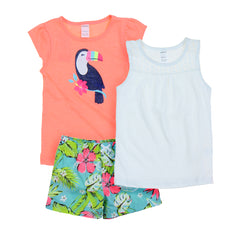 Baby Girl's 3 Piece Set-2 Shirts, 1 Pant