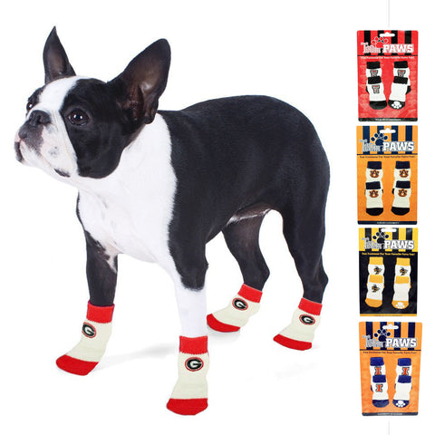 Pet Gear Pro Pawty Medium