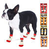 Team Paws NCAA College Team Fan Non-Slip Dog Socks